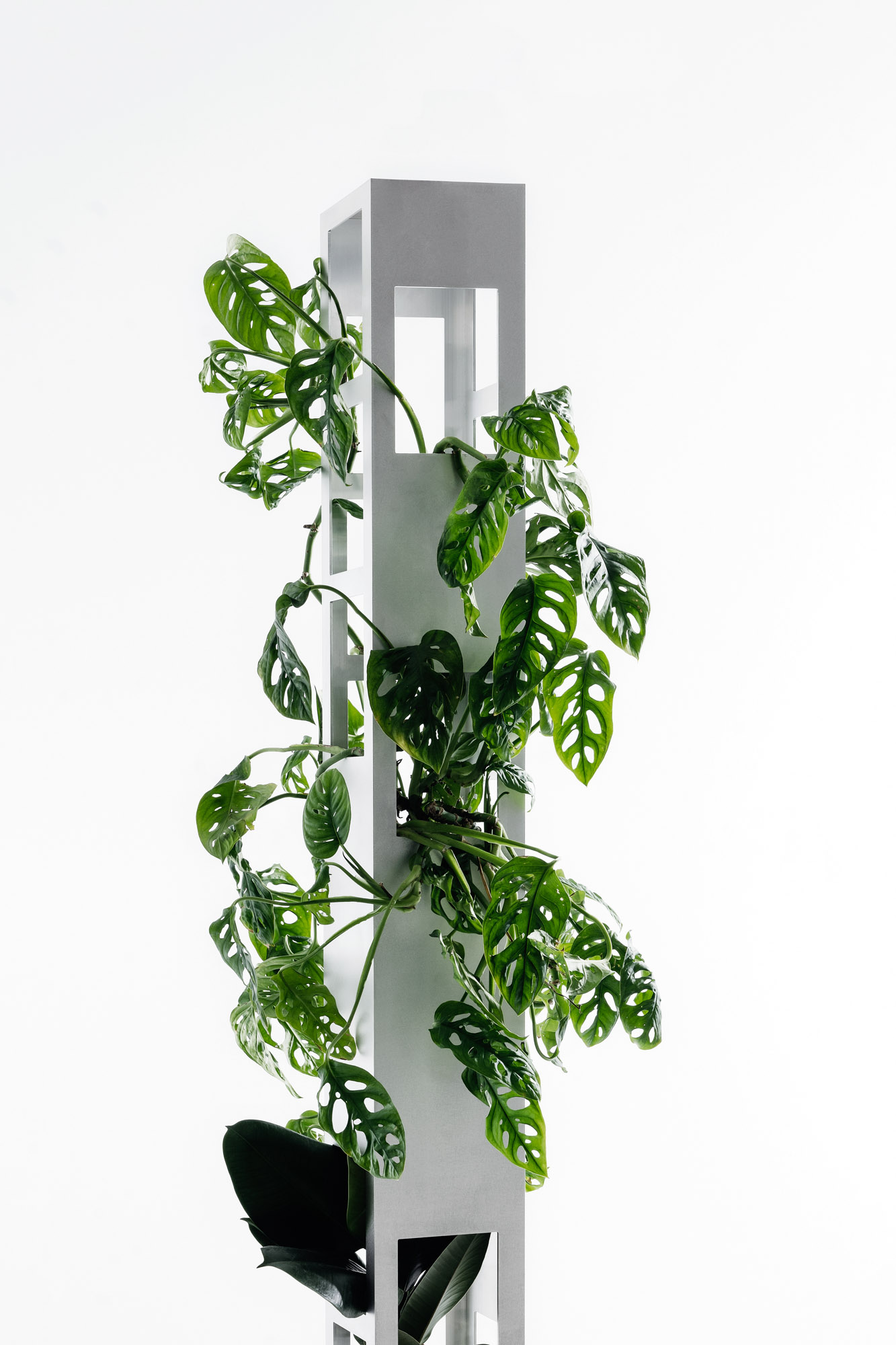 Tower Plant by Gonzalez Haase AAS, aluminium 