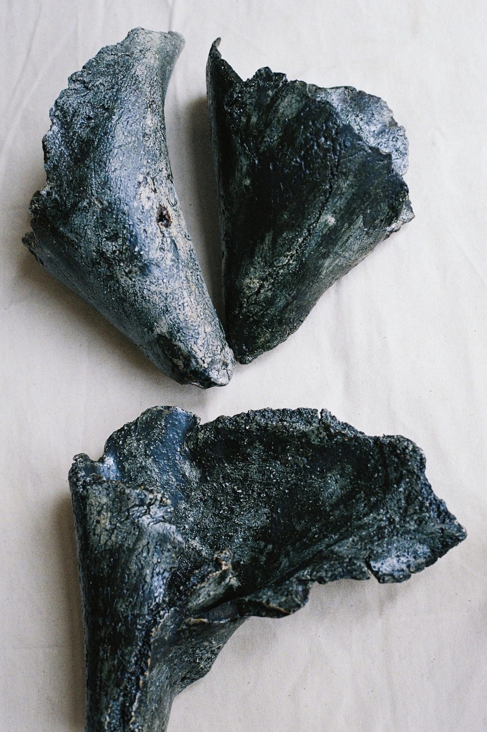 Bloom by Veronica Janovec, glazed ceramics, 2024, 50 × 30 × 6 cm